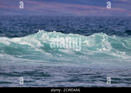 Wunderschöne aquamarin Welle bricht auf maui. Stockfoto