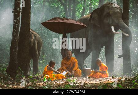 Thailändische Mönche, die mit Elefanten im Dschungel spazieren Stockfoto