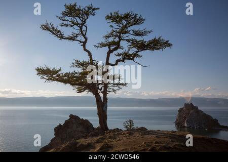 Silhouette des Baumes der Wünsche auf Kap Burhan der Olchon-Insel am Baikalsee, Russland Stockfoto