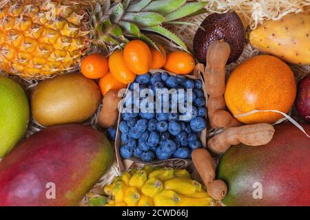 Exotische Früchte. Hintergrund von tropischen Früchten Stockfoto