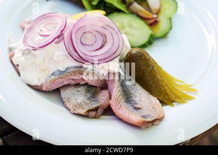 Junger gesalzener Fisch namens Soused oder Matjes Hering mit Sauerrahm, Gurken und roten Zwiebeln, serviert mit Salat auf einem weißen Teller, ausgewählte Fokus, schmal Stockfoto