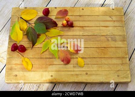 Bunte Herbstblätter in strukturiertem Muster für die Herbstsaison angeordnet Einfacher Hintergrund Stockfoto