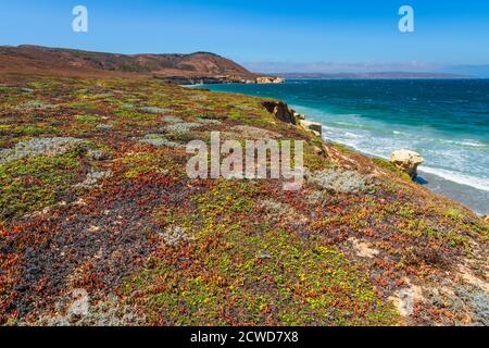 Skunk Point, Santa Rosa Island, Channel Islands National Park, Kalifornien USA Stockfoto