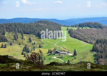 Panoramablick auf den Schwarzwald mit Bauernhof im Tal. Stockfoto