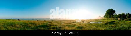 Wunderbares Panorama auf die Berge. Pferde auf einer Bergwiese. Sommer-Panorama-Landschaft in den Bergen. Ukraine, Karpaten. Schöne Natur V Stockfoto