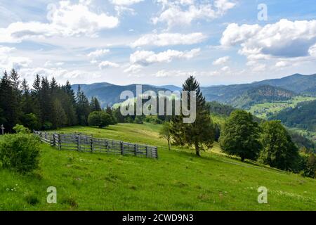 Schwarzwald Landschaft von Belchen. Stockfoto