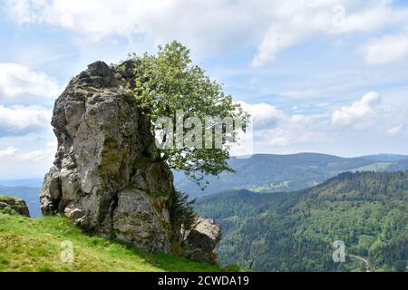 Felsformation Hochfelsen am Belchenberg, Schwarzwald. Stockfoto