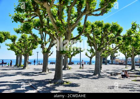 Konstanz, Deutschland - 27. Mai 2020: Stadtgarten Konstanz mit Promenade. Stockfoto