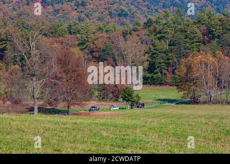 Autoverkehr auf der Loop Road in Cades Cove im Great Smoky Mountains National Park, Tennessee Stockfoto