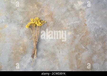 Ein Bukett aus herbstlich getrockneten Wildblumen auf grauem Betongrund. Stockfoto