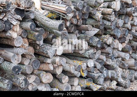 Stapel gehacktes Holz für den Winter vorbereitet Stockfoto