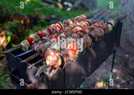 Spieße ungekocht in der Natur auf Spieße im Freien. Shashlyk Stockfoto