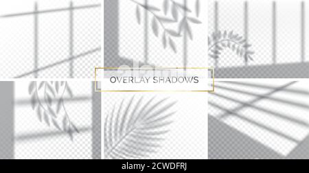 Satz von Schatten, Overlay Effekte mock up, Fensterrahmen und Blätter von Pflanzen, Tageslicht, Vector Illustration. Stock Vektor