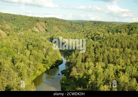 Draufsicht auf einen gewundenen ruhigen Fluss, der durch einen dichten Nadelwald fließt. BERD Fluss, Nowosibirsk Region. Stockfoto