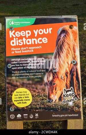 England, Hampshire, New Forest, Halten Sie Ihre Entfernung Von Tieren Warnschild Stockfoto