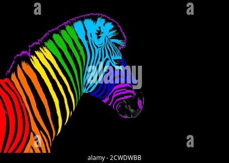 Ein Zebra-Kopf mit Regenbogenfarben gestreiften Muster Haut auf schwarzem Hintergrund isoliert Nahaufnahme Seitenansicht, anderes Konzept, Phantasie Design Stockfoto