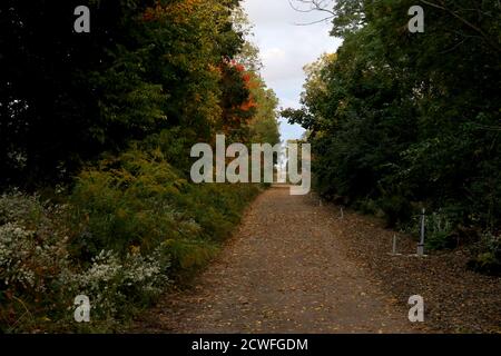 Sept 29 2020, St Thomas Ontario Kanada - Kanadas erster erhöhter Park auf der Westseite St. Thomas in Ontario Kanada. Pfad vor erhöhtem pa Stockfoto