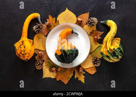 Herbst und Thanksgiving Tagestisch Einstellung mit gefallenen Blättern und Dekorative Kürbisse Stockfoto