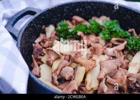 Gebratene Chanterelle oder girolle Pilze oder Cantharellus cibarius, mit Kartoffeln. Gebratener Auflauf. Sommer und Herbst saisonales Mittagessen. Nahaufnahme. Hausgemachtes Abendessen. Hausmannskost. Waldpilze. Stockfoto