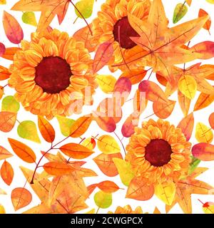 Nahtloses Muster mit wasserfarbenen Herbstblättern und Sonnenblumen auf weißem Hintergrund Stockfoto