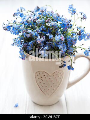 Vergiss mich nicht Blumen in einer Tasse auf dem Tisch Stockfoto