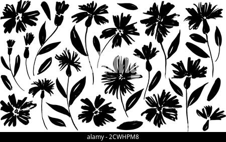 Daisy handgezeichnete schwarze Farbe Vektor-Set. Stock Vektor