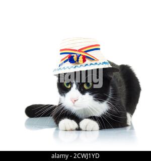 Katze trägt traditionellen rumänischen Hut aus maramures Grafschaft isoliert auf Weißer Hintergrund Stockfoto