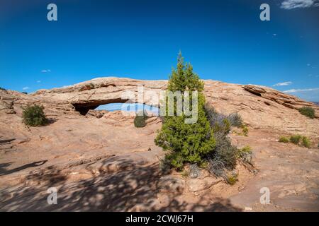 Mesa Arch im Sommer im Canyonlands National Park, Utah, USA. Stockfoto