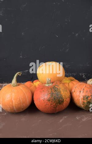 Pyramide der Kürbisernte auf einem dunklen Hintergrund. Platz für einen Kopierbereich Stockfoto