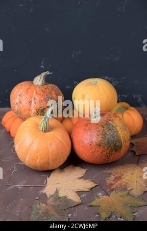 Pyramide der Kürbisernte mit Herbstblättern auf einem dunklen Hintergrund. Platz für einen Kopierbereich Stockfoto