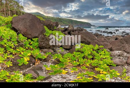 Am späten Nachmittag an der Küste bei Vincendo (Südküste der Insel La Reunion) Stockfoto