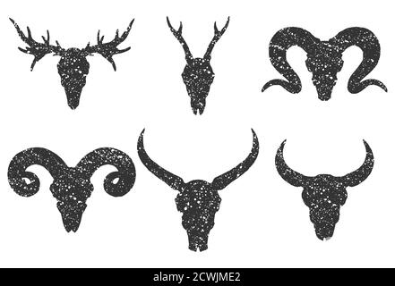 Vektor-Set von sechs handgezeichneten Schädeln von gehörnten Tieren: buffalo, Stier, Hirsch und RAM auf weißem Hintergrund. Schwarze Silhouetten mit Grunge-Textur in alten s Stock Vektor