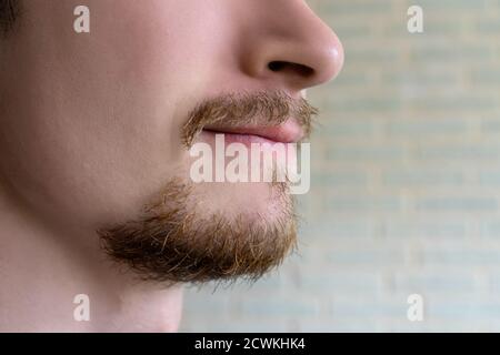 Bärtiger Mann mit rotem Bart aus nächster Nähe. In Quarantäne überwachsen. Stockfoto