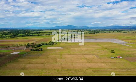 Landwirtschaftliche Flächen und Reisfelder auf den Philippinen. Bebautes Ackerland und Reisfelder. Agrarkonzept. Stockfoto