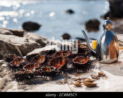 Seeigel auf Felsen mit Olivenöl Stockfoto