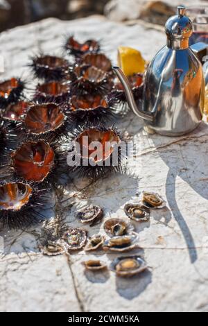 Seeigel auf Felsen mit Olivenöl Stockfoto