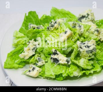 Grüner Salat mit Blauschimmelkäse und Sesam Stockfoto