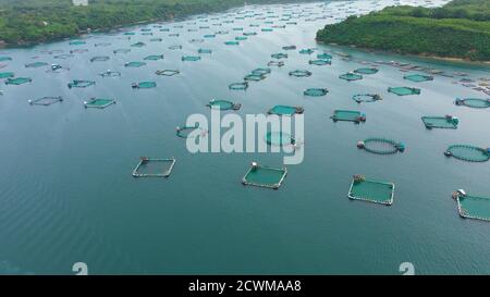 Fischzucht mit Käfigen für Fische und Garnelen in den Philippinen, Luzon. Luftaufnahme von Fischteichen für bangus, milchfisch. Fisch Käfig für Tilapia, milchfisch Landwirtschaft Aquakultur oder Fischzucht Praktiken. Stockfoto