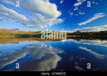 Loch Morlich, Badenoch und Strathspey, Highlands, Schottland Stockfoto