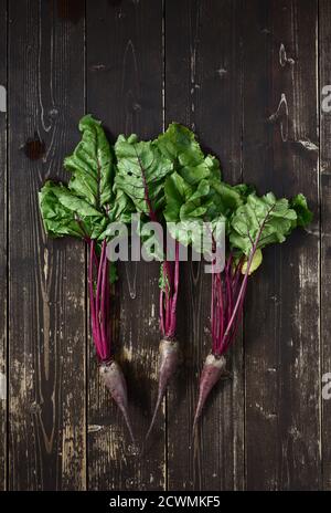 Rote Bete mit Spitzen auf einem darrk nassen hölzernen Hintergrund obenauf Anzeigen Stockfoto