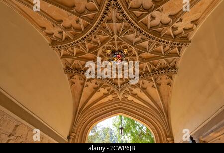 OXFORD CITY ENGLAND MERTON STRASSE EINGANG UND DECKE CORPUS CHRISTI HOCHSCHULE Stockfoto