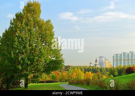Goldener Herbst. Landschaftspark im Hintergrund des Wohngebietes. Moskau, Russland Stockfoto