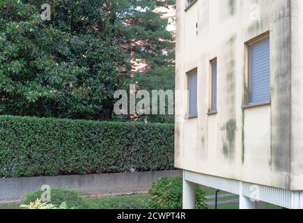 Fassade eines Wohnhauses nach Norden mit rissem Putz Mit Schimmel bedeckt Stockfoto