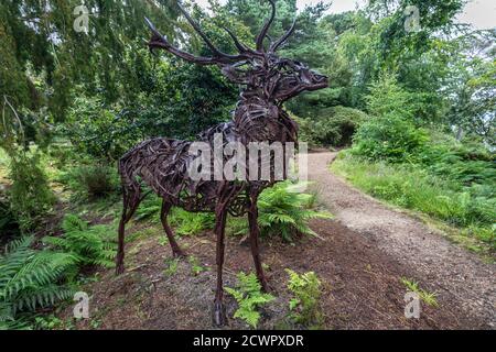 Eine lebensgroße Statue eines Hirsches, geschaffen von der Künstlerin Sally Matthews, auf dem Gelände von Brodick Castle, Garden and Country Park, Isle of Arran, Schottland. Stockfoto