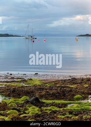 Lamlash Bay bei Sonnenaufgang, Isle of Arran, im Firth of Clyde, Schottland, Großbritannien Stockfoto