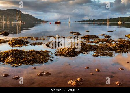 Blick auf Holy Island von Lamlash bei Sonnenaufgang, Isle of Arran, im Firth of Clyde, Schottland, Großbritannien Stockfoto