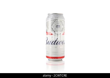 Budweiser Bier kann auf weißem Hintergrund isoliert. Alkoholisches Getränk. Stockfoto