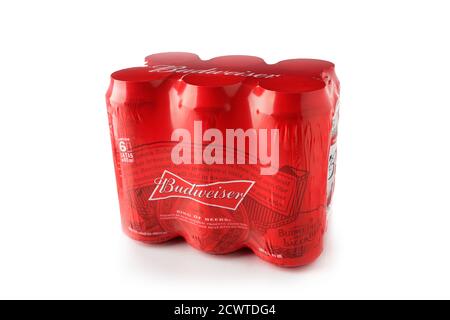 Six Pack Budweiser Bier isoliert auf weißem Hintergrund. Alkoholisches Getränk Stockfoto