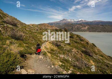 Valle del Lago Grey, trekking W, Parque Nacional Torres del Paine, Sistema Nacional de Bereiche Silvestres Protegidas del Estado de Chile.Patagonia, Repúb Stockfoto