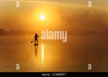 Junger Mann in Silhouette schwimmen auf sup Board Stockfoto